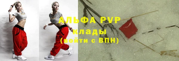 спайс Нея
