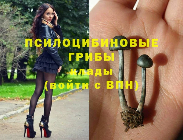 стафф Нефтегорск