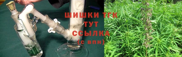спайс Нея