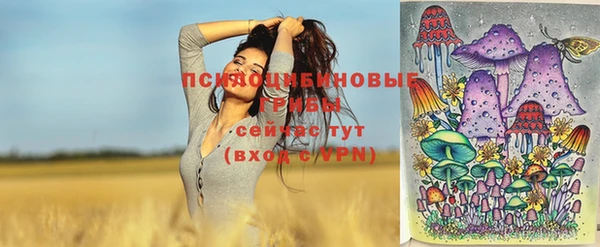 МДПВ Наволоки