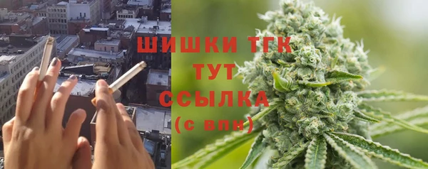 спайс Нея