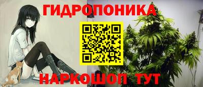 ГАЛЛЮЦИНОГЕННЫЕ ГРИБЫ Изобильный