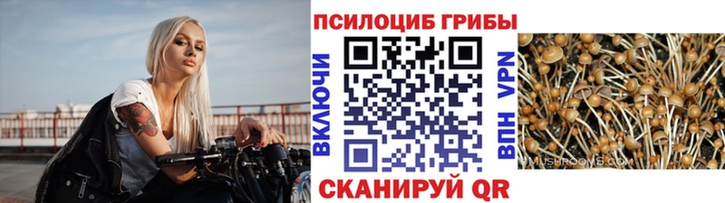 Галлюциногенные грибы Psilocybe  Шумерля 