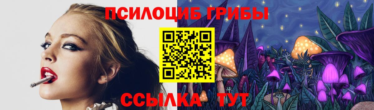 Псилоцибиновые грибы Psilocybine cubensis Шумерля